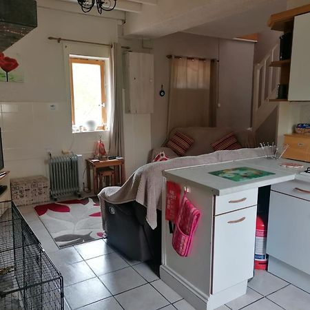 Le Petit Verger, 1 Impasse De La Fenouillere 61330 Ceauce Экстерьер фото